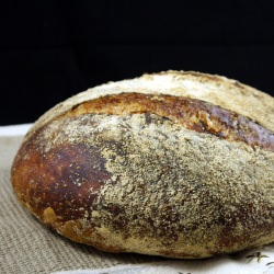 No Knead Bread