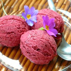 Berry Ice Cream