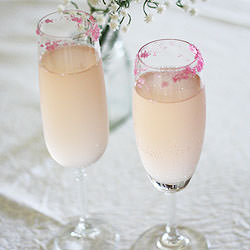 Pink Champagne Cocktails