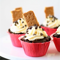Chocolate Chip Cheesecake Cupcakes
