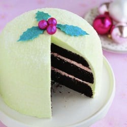 Winter Delight Peppermint Cake