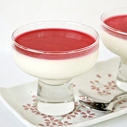 Panna Cotta