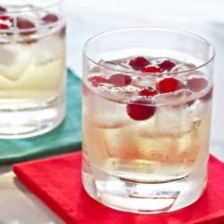 Cranberry Ginger Cocktail