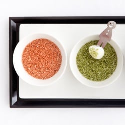 Quail Eggs with Green Tea Salt