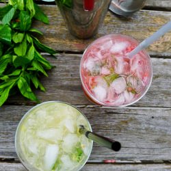 Summer Fruit Mojitos