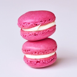 2011: Year of the Macaron