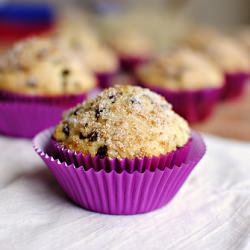 Sugar Crusted Chocolate Chip Muffin