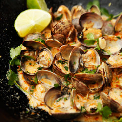 Red Curry Coconut Ginger Clams