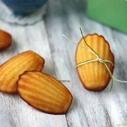 Honey Madeleines