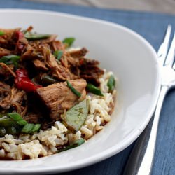 Slowcooker Asian Pork
