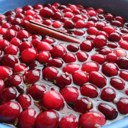 Spiced and Sugared Cranberries
