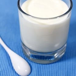 Home Made Plain Yogurt