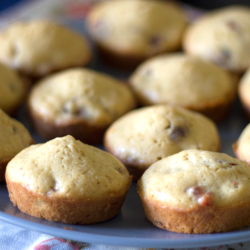 Simple Morning Muffins