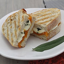 Roasted Butternut Squash Panini