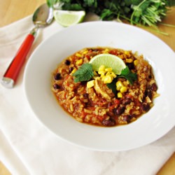 Chili-Chicken Stew