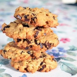 PB Chocolate Chip Cookie