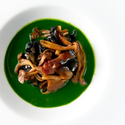 Wild Mushroom & Parsley Sauce