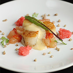 Scallop on Buckwheat Purée