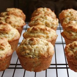 Whole Grain Muffins
