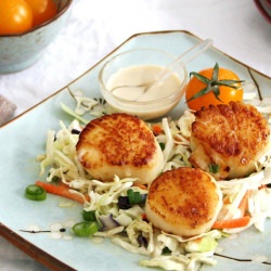 Seared Scallops with Tahini