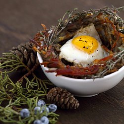 Quail Eggs Nest