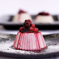 Almond Milk Panna Cotta