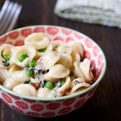 Creamy Orecchiette