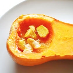 Roasted Squash