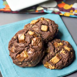 Chocolate Peanut Butter Cookies