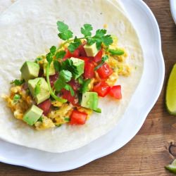 Scrambled Egg And Salsa Wrap