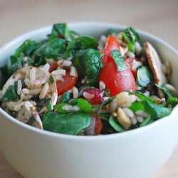 Wild Rice and Spinach Salad