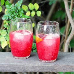 Blood Orange Gin Sparkler