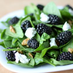 Blackberry Goat Cheese Salad