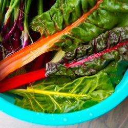 Rainbow Roast Salad