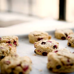 Oat Scone