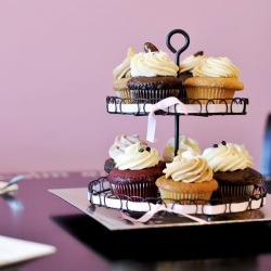 Cupcake Deliciousness