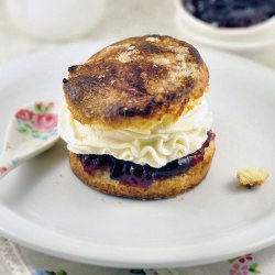 Daring Bakers Scones