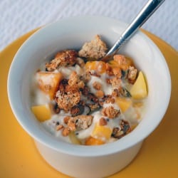 Simply Healthy Granola