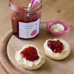 Basic Scones