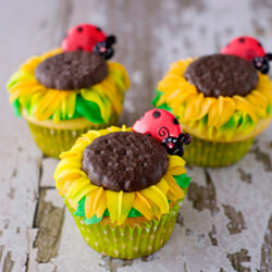 Sunflower Cupcakes