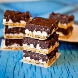 Peanut Butter Cocoa Krispies Smores