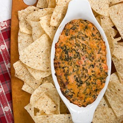 Dump and Stir Mexican Dip