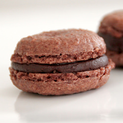 Bitter Chocolate Macarons