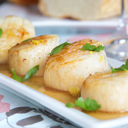 Seared Scallops
