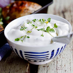 Tzatziki Recipes