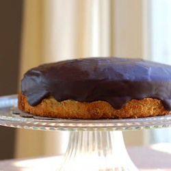 Boston Cream Pie