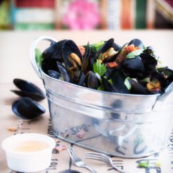 Steamed Mussels