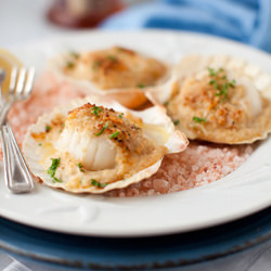 Baked Scallops