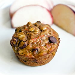 Carrot Walnut Chocolate Chip Muffin