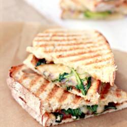 Panini Party
